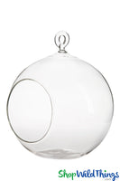 4" Round Glass Hanging Terrarium