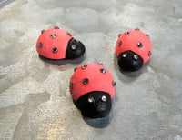 Neon Coral Ladybug Magnets - Set of 3