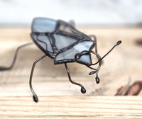 Stained Glass Stinkbug