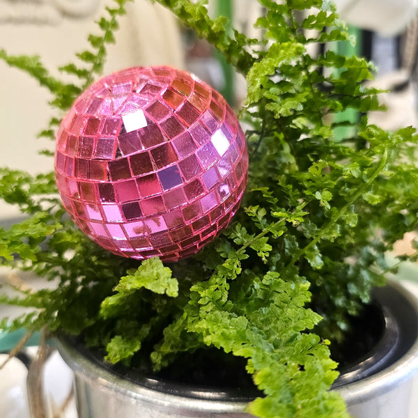 Small Light Pink Disco Watering Globe