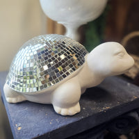 Disco Turtle