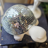 Disco Turtle