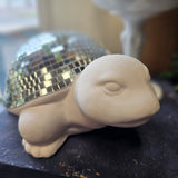 Disco Turtle