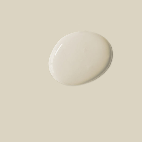 Annie Sloan Chalk Paint® - Canvas