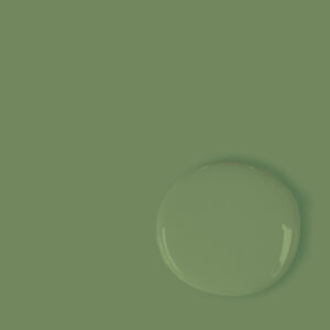 Annie Sloan Chalk Paint® - Capability Green