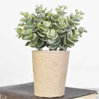 Faux Potted Eucalyptus