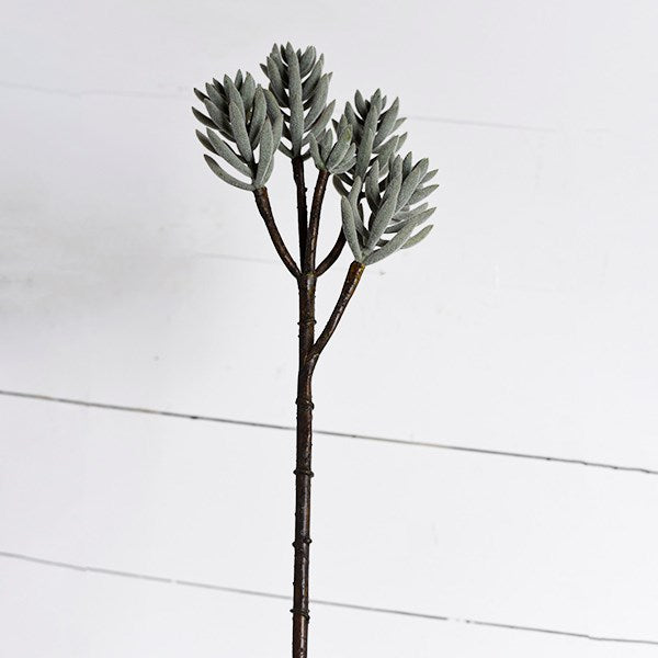 Faux Succulent Stem