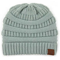 Winter Mint Ribbed Solid Color Beanie