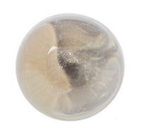 Glass & Gold Orb Knob