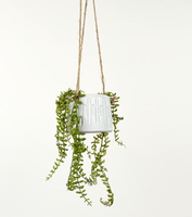 3.75" Hanging Planter