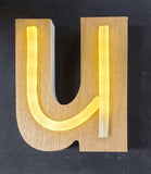 Wood & Neon Letter