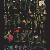 Annie Sloan Decoupage Paper - Formal Garden