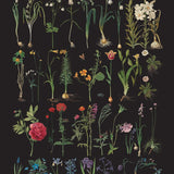 Annie Sloan Decoupage Paper - Formal Garden