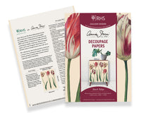 Annie Sloan Decoupage Paper - Dutch Tulips