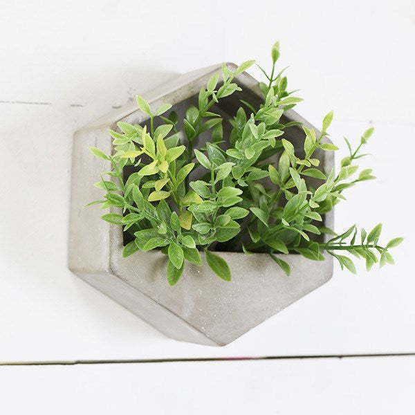 Mini Cement Hegaxon Wall Planter