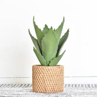 Faux Potted Aloe