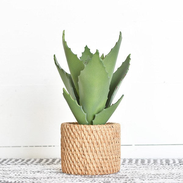 Faux Potted Aloe
